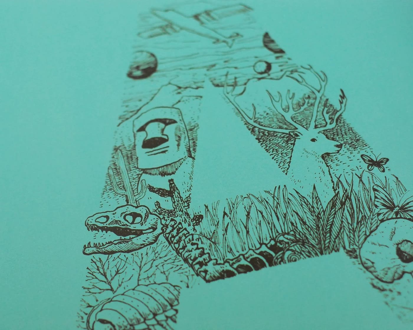 Animals and plants in teal line work