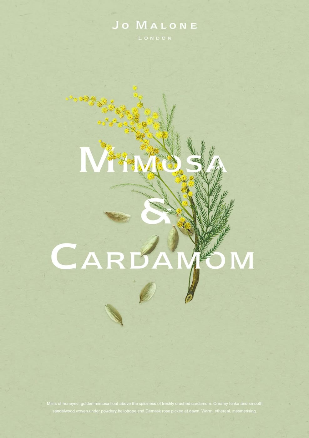 Mimosa and cardamom fragrance poster for Jo Malone