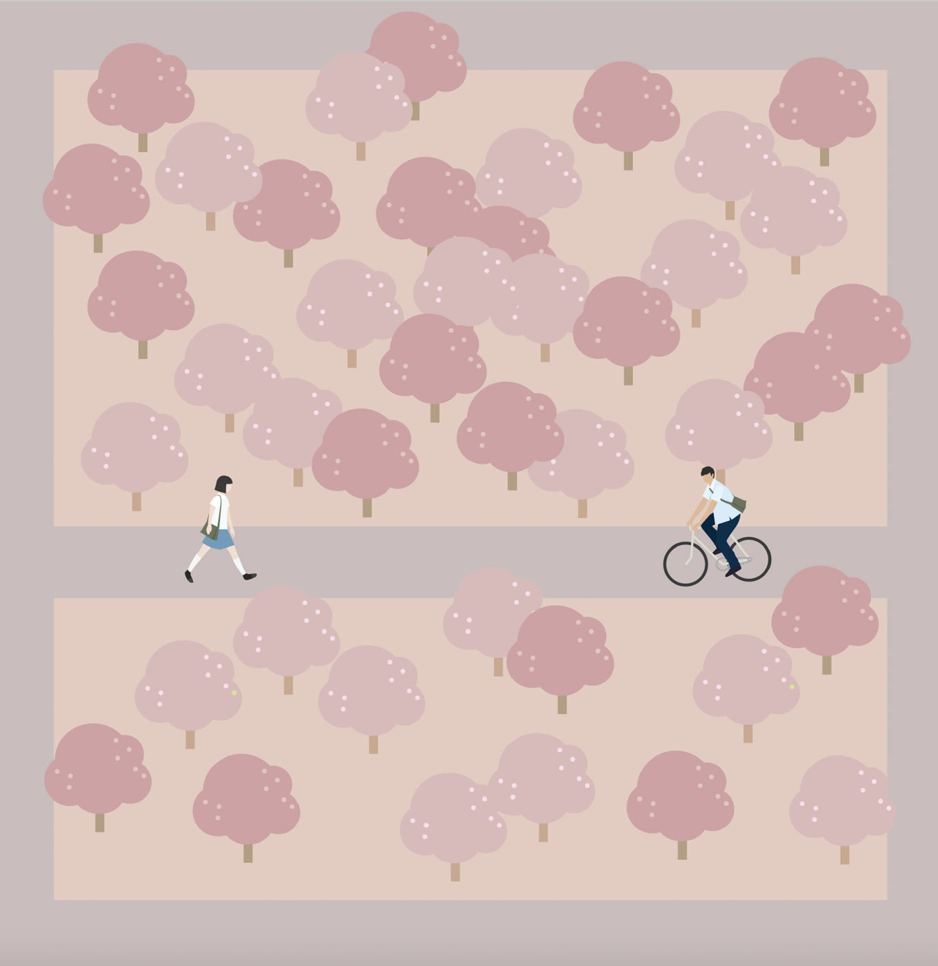 A walker and a cyclist in a park of pink trees